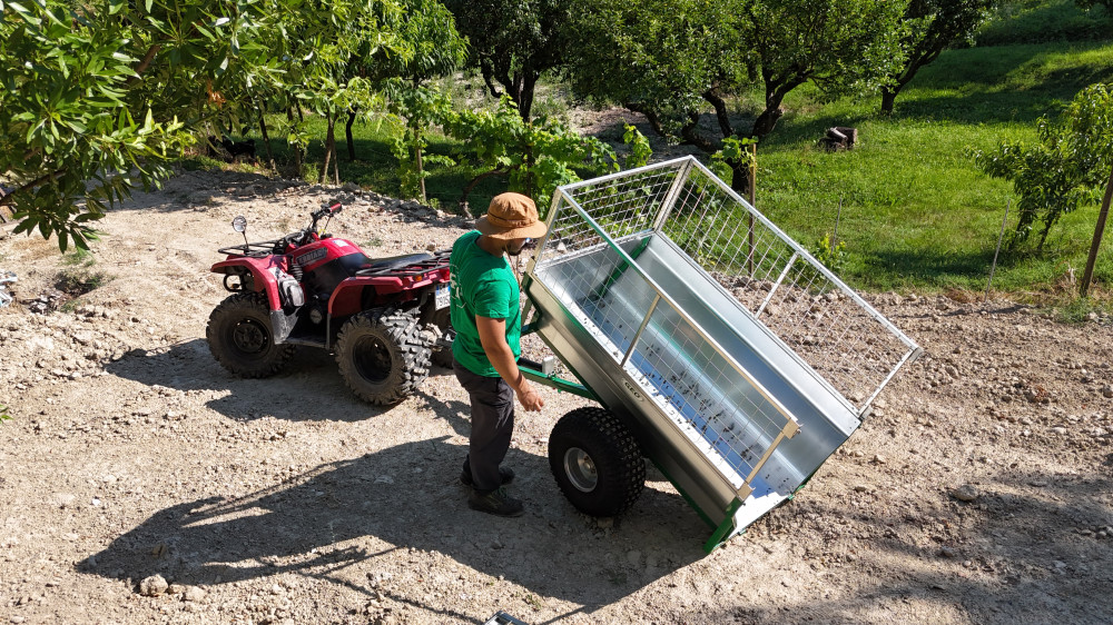 RDJI 20250703171807 0258 D